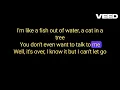 Lucinda Williams -  Can't Let Go - Karaoke w/ Backup Vocals