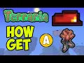 How to Get the OBSIDIAN ROSE in Terraria EASY 2026 How to Get the PLUMBER S HAT in Terraria