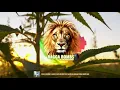Collie Buddz - Love Is Life (Ricky Tuff & Brian Brainstorm Bootleg)