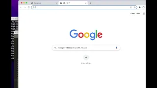 JavaScript pushState methos stops user s browser back