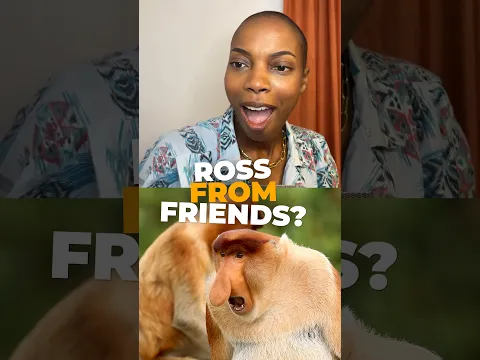 Sasheer Zamata gets Pepé Le Pew vibes from this animal. #animals #monkey  #wildlife #naturepbs