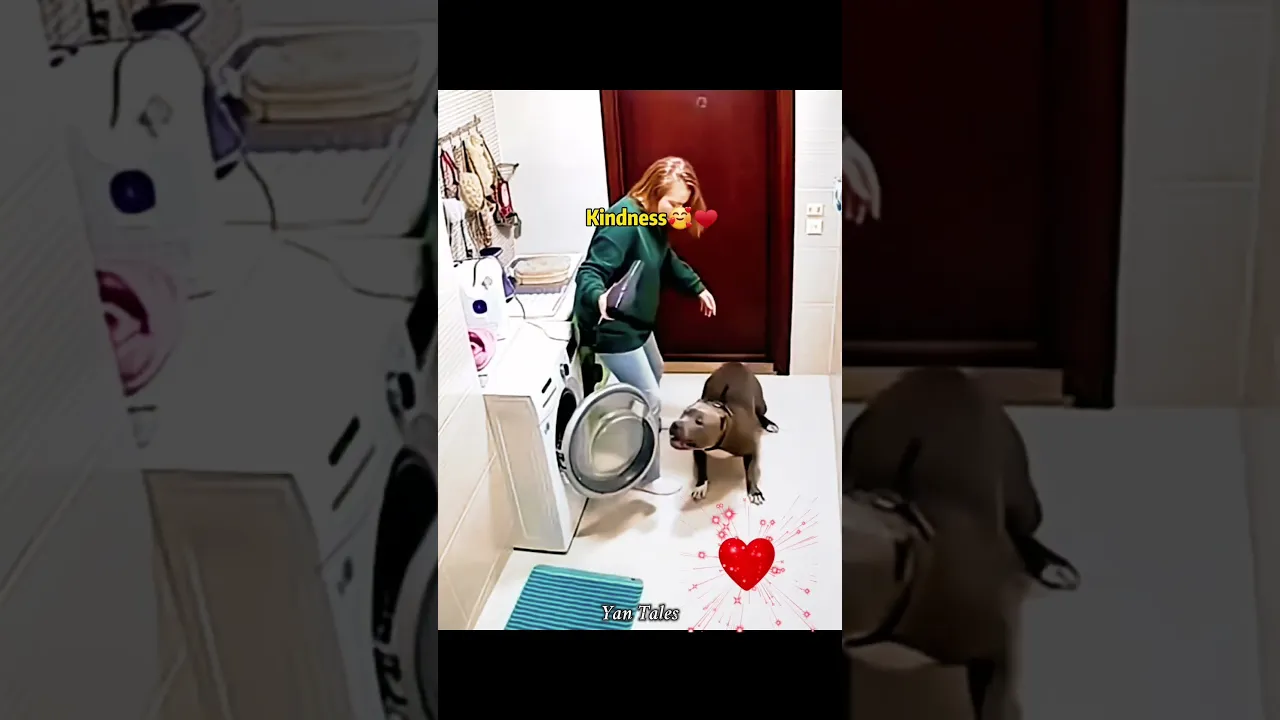 #tepukkartu