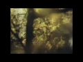 Loreena Mckennitt - Greensleeves (Music Video)