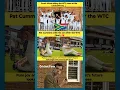 Download Lagu 🥹Pure Joy, Lasting Legacy: Iconic Scenes from the WTC Final 2025❤️ #shorts #wtcfinal2025 #wtcfinal