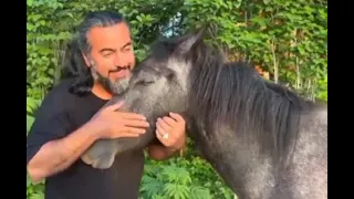 یارم همدانی و خودم هیچ ندانی پرواز همای قروه کردستان کنسرت 