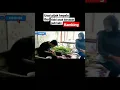 Download Lagu anak DURHAKA pijak kepala ibu di waktu sholat kaki berubah jadi kaki kambing