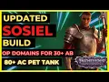 PF WOTR ENHANCED - SOSIEL Build DOMAIN Lord 30 PARTY WIDE BUFFS More with TANK PET