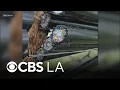 Cut fiber optic lines cause Spectrum outages in Santa Clarita