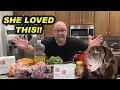 Vet-Approved Homemade Dog Food That Actually Works Farmer s Dog Recipe