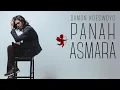 DAMON KOESWOYO - PANAH ASMARA (official MV)