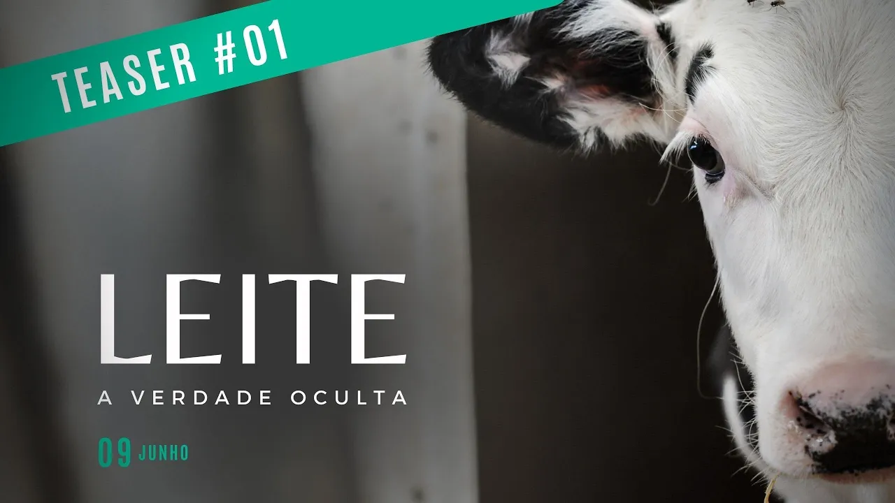 Leite, a verdade oculta │ TEASER 01  - Henrique Autran