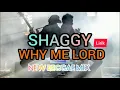 Download Lagu SHAGGY-WHY ME LORD(Lyrics)NEW REGGAE MIX