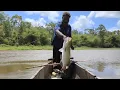 Lagu Fishing and grilling fish in the maro river, south Papua