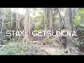 stay : getsunova