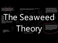 The Seaweed Theory