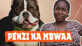  amefanya mapenzi na mbwa