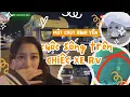 Download Lagu Cuộc sống trên chiếc xe RV - Phần 11 | xui dữ mấy bà, đã gặp trộm rồi mà còn tai nạn nữa#rvlifestyle