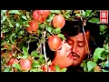 Download Lagu Atho Varandi Varandi Video Songs # Polladhavan # Tamil Songs # Rajinikanth Tamil Hit Songs #songs