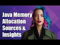 Understanding Java Native Memory Allocation Sources and Insights Explained
