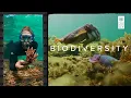 What Are Small Island Developing States
