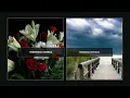 Buggs Funeral Home - Melbourne Funeral Home