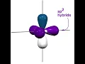 Hybridization Sp2 orbitals