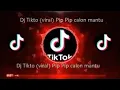 Dj pipipi calon mantu