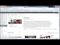 Setting the background and using the theme options page WordPress Basics