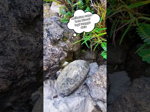 Batu yang Ternyata Emas!