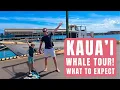 Kauai Whale Watching Tour Review Drinks Included