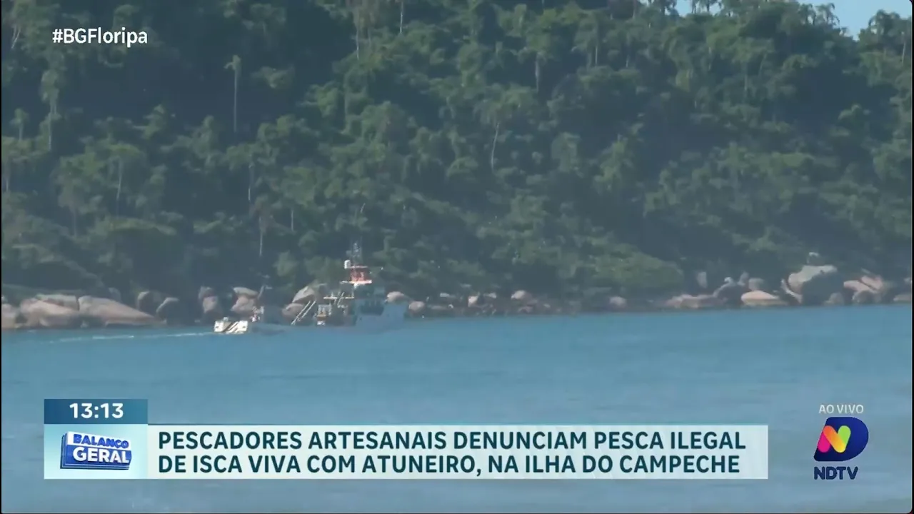 Pescadores artesanais denunciam pesca ilegal na Ilha do Campeche