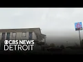 53 cats found living in Michigan motel room