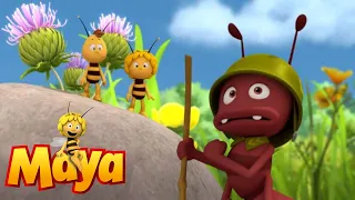 Download No sleep for Maya - Maya the Bee - Episode 11 MP3