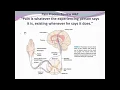 Fundamentals Pain Management Unit 10 F18