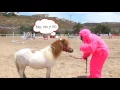 eAnuncios com web de anuncios clasificados nuevos y de segunda mano