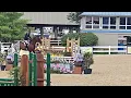 Sweet Willem - 3 6 Older Amateur Owner Handy Hunter