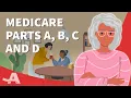 Medicare Parts A B C and D Explained