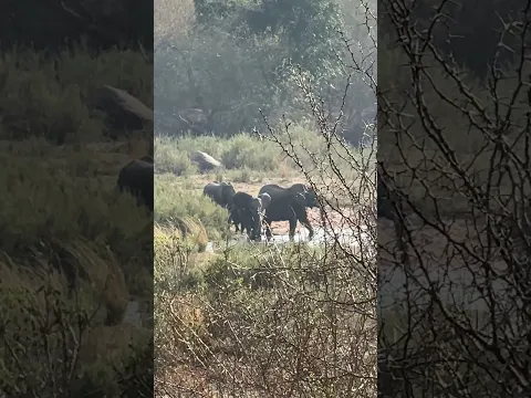 Moments from recent Africa visit