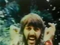 Ringo Starr - It Don't Come Easy (Official Music Video)