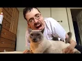 IM FASTER THAN YOU - Ricky Berwick