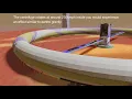 A spinning toroidal gravity facility for mars