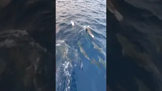 Volume up! They are chatting!
