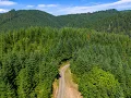 SOLD High Pass Tree Farm - Lane County Oregon