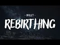 Download Lagu Skillet - Rebirthing [Lyrics]