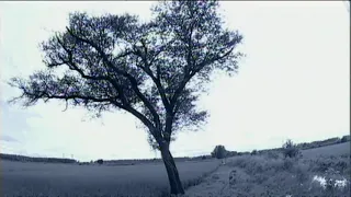 kikre sabar koti album hajhu