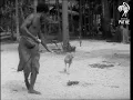 Download Lagu Beautiful Madang Papua New Guinea...