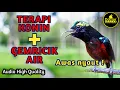 Download Lagu TERAPI KONIN GACOR FULL ISIAN DENGAN GEMRICIK AIR COCOK BUAT DONGKRAK BIRAHI BURUNG KOLIBRI BAHAN