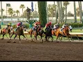 LOS ALAMITOS QH