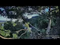 Trempealeau Eagles 8-19-26 MrsT brings fish meal to N1 another eagle stops in not welcome