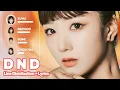 Lagu Apink - D N D (Line Distribution + Lyrics Karaoke) PATREON REQUESTED